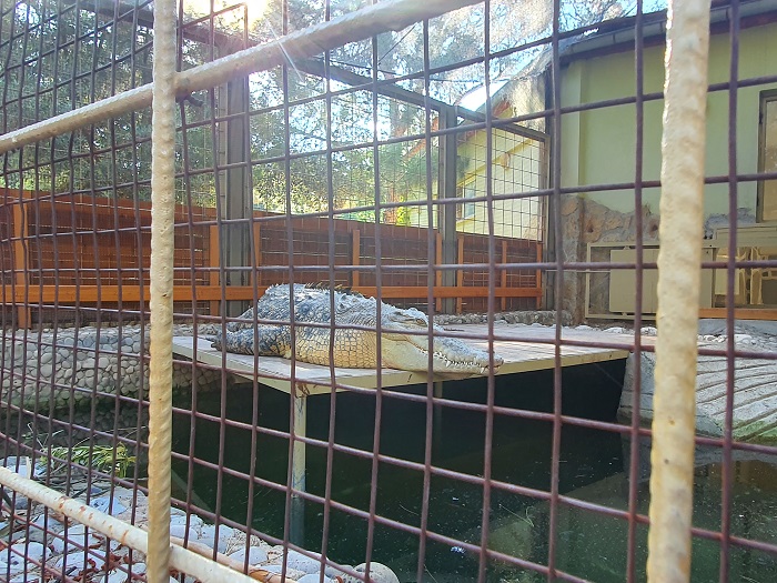 Зоопарк Анталии