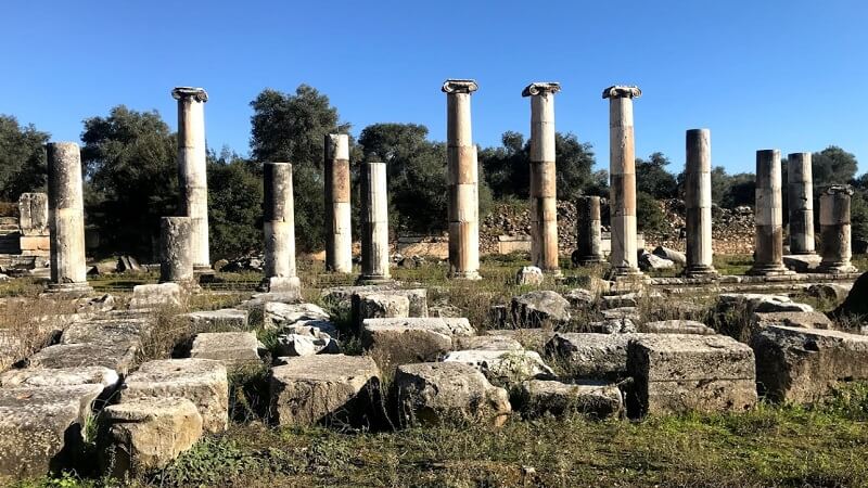 Древний город Ниса - Nysa Ancient City - Nysa Antik Kenti